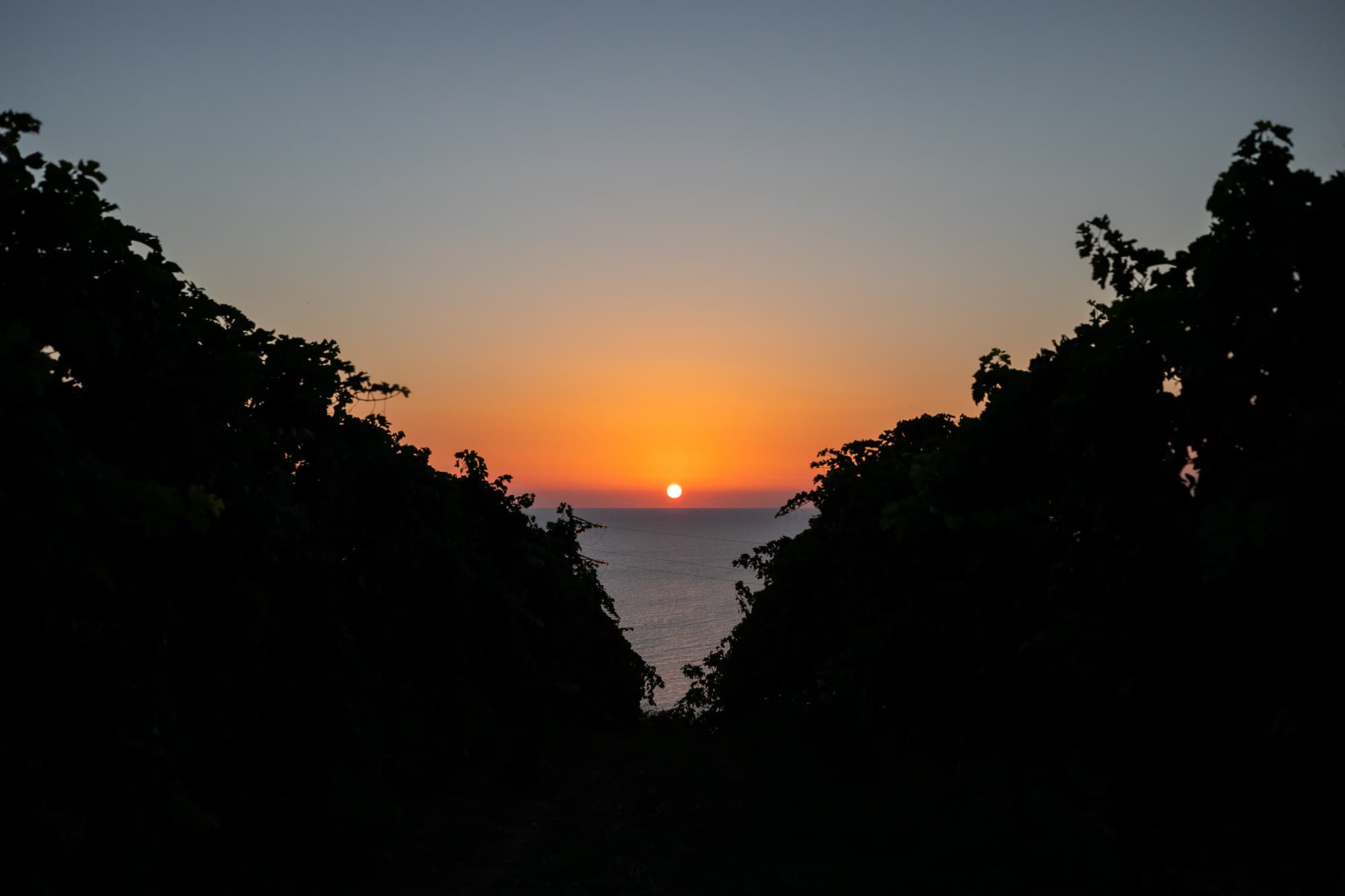 Terra Fageto