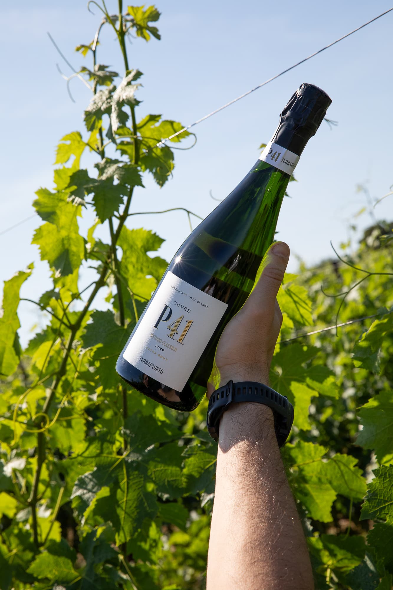 P41 - Metodo Classico Extra Brut